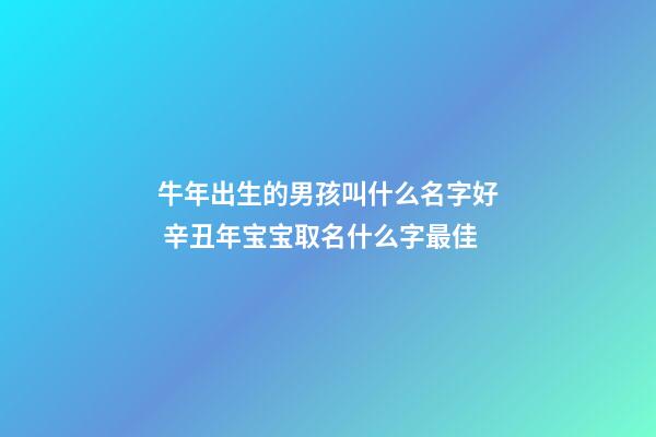 牛年出生的男孩叫什么名字好 辛丑年宝宝取名什么字最佳